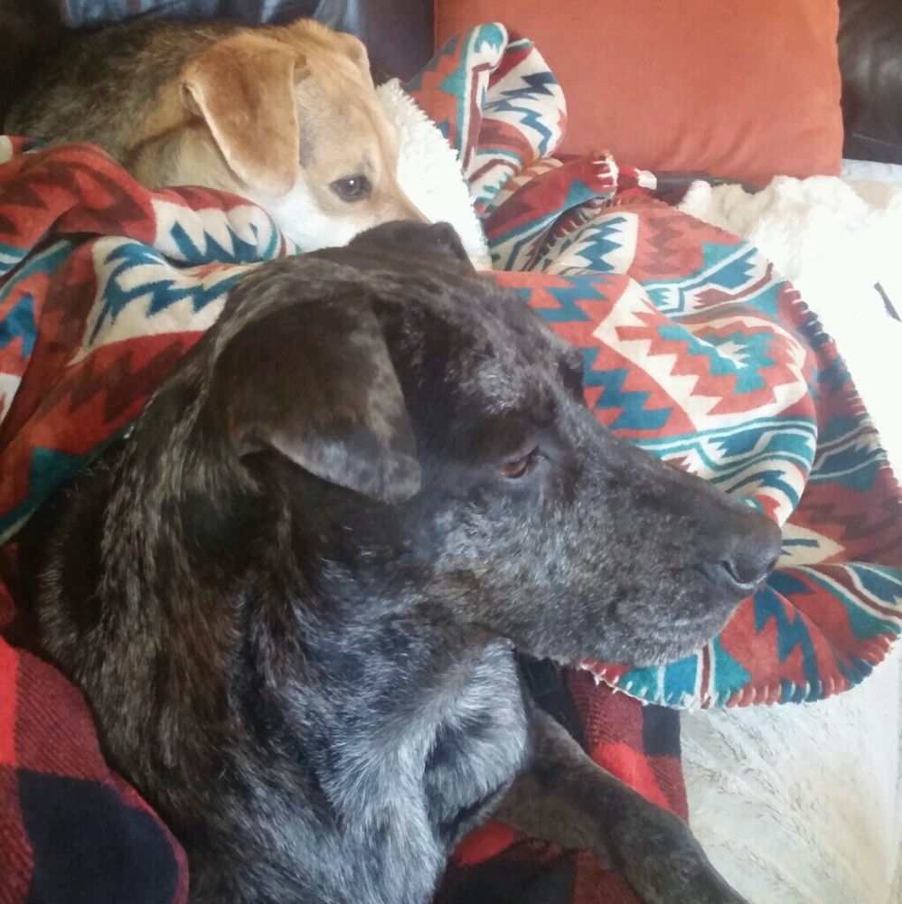 Meet your Posher, Alicia